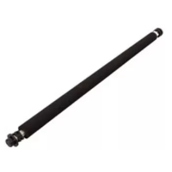 Ricoh B0393820 printer/scanner spare part/accessory Roller