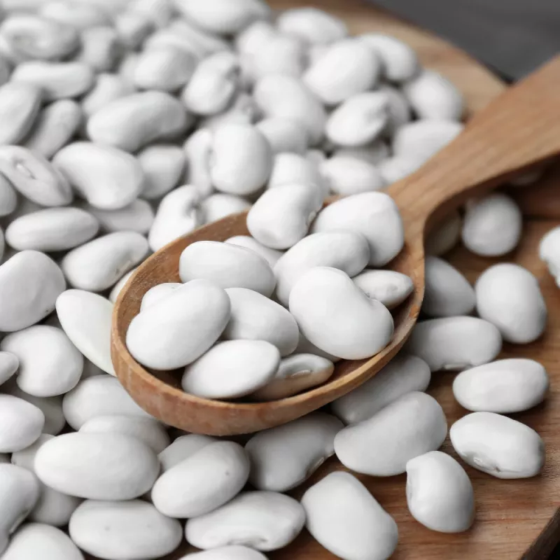 Seed packet Seklos LT PNOS — dry bean 'Igłomska' seeds, 50 g