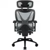 ThunderX3 XTC Ergonomic Office Chair - black/blue
