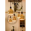 LED bulb Segula 55058 Warm white 1900 K 6 W E27