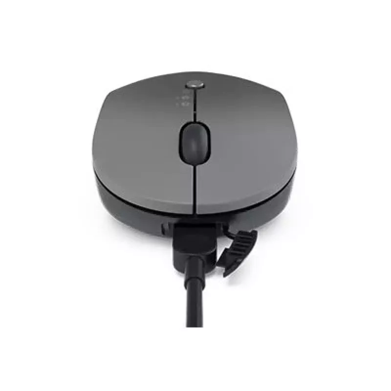 Lenovo Go Wireless Multi Device mouse Office Ambidextrous RF Wireless + Bluetooth + USB Type-A Optical 2400 DPI