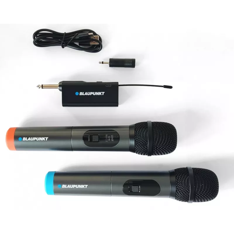 Microphone Blaupunkt WM60UDB