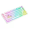 MECHANICAL KEYBOARD SAVIO