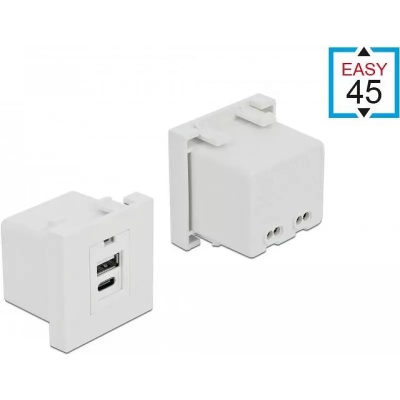 Socket outlet USB A + USB C DeLOCK 81313