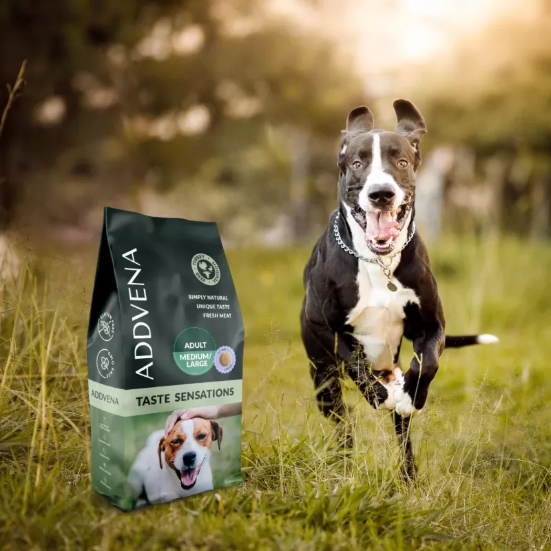 ADDVENA Taste Sensations Adult Medium/Large Turkey - dry dog food - 2,5kg