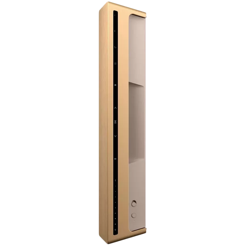 Beosound Level Speaker Gold Tone Alu (Cover Light Oak)