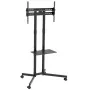 TV trolley stand Maclean, professional, 32-70, on wheels, max. VESA 600x400, max. 40kg, MC-951