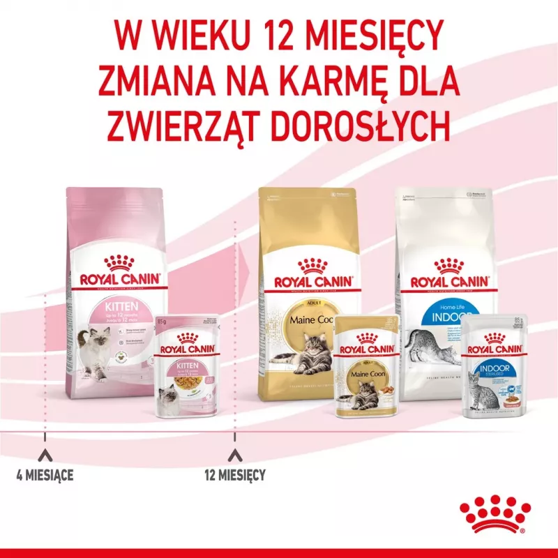 Wet cat food Royal Canin Kitten Gravy 85 g — poultry, 78% moisture, 12% protein
