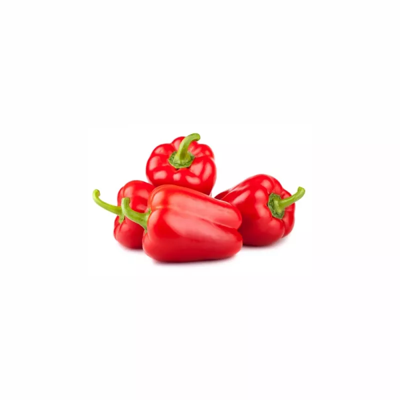 Seed Pellets Seklos LT Ożarowska Pepper 50 seeds (coated)