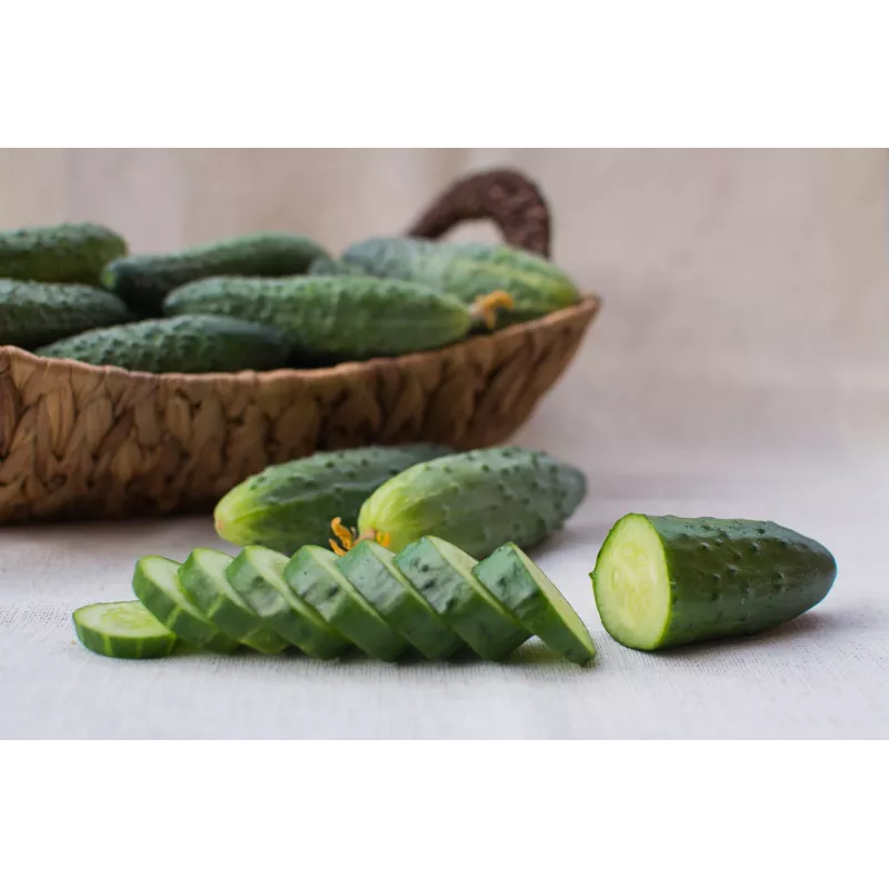 Srem Cucumber F1 Toraf Vegetable Seeds, 5g Pack