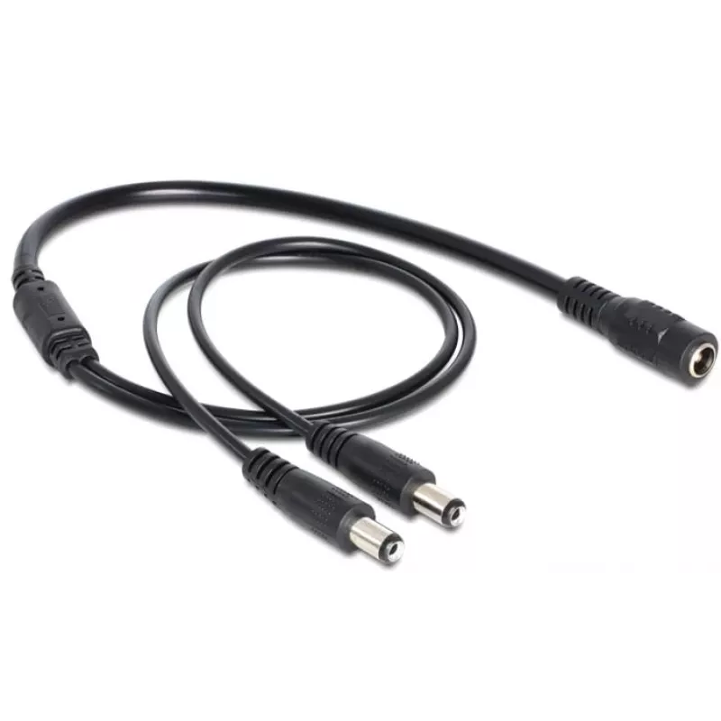 Delock Connectivity Accessory