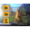 EASYPIX Bird Camera Easypix Bird Cam 10123 1080p HD Night Vision