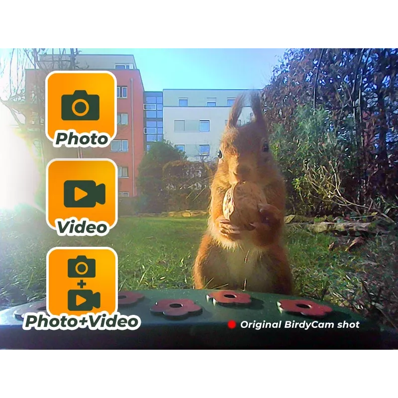 EASYPIX Bird Camera Easypix Bird Cam 10123 1080p HD Night Vision