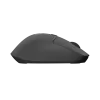 Wireless mouse NATEC KITE NMY-2347, up to 4000 DPI, silent clicks, tilt scroll wheel, black