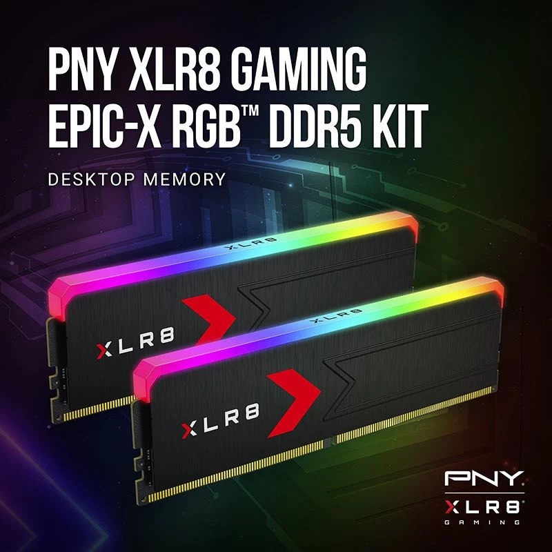 Memory PNY DDR5 32GB 5600 BULK