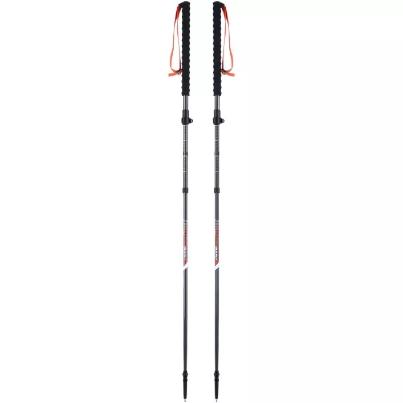 Adult Poles VIKING Mission FS folding ski-touring grey UNI