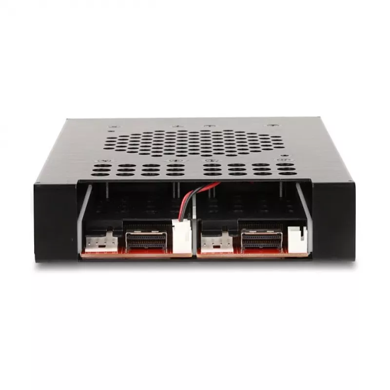 SSD enclosure DeLOCK 47117 3.5 inch Mobile Rack for 2 x M.2 NVMe SSD