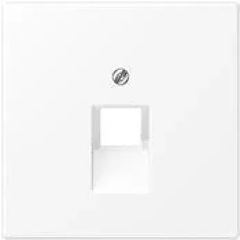 Jung Cover Plate f.IAE/UAE-Connection Socket LS969-1UAWWM (LS969-1UAWWM)