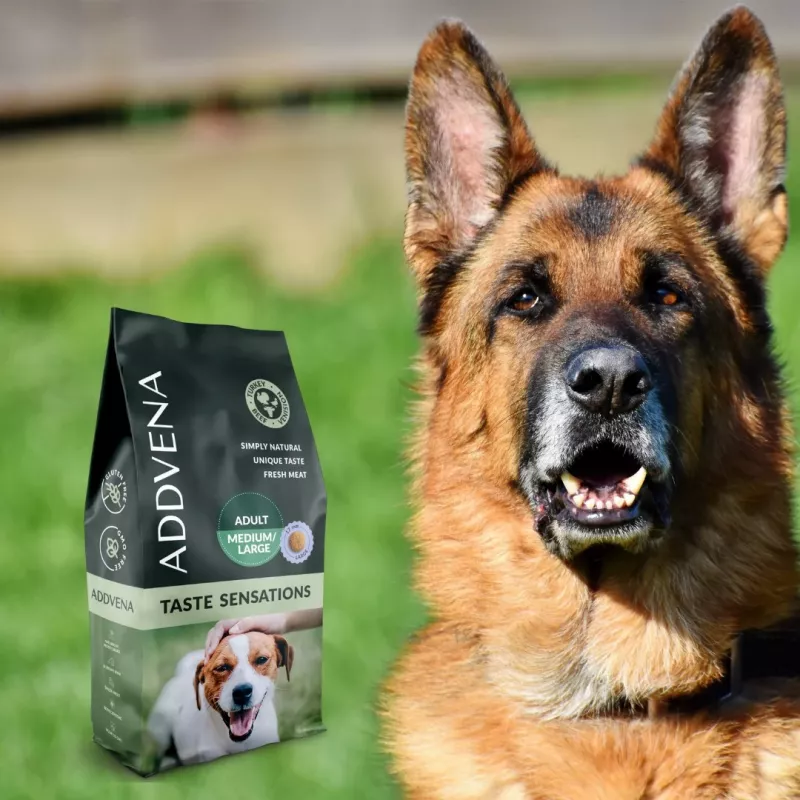 ADDVENA Taste Sensations Adult Medium/Large Turkey - dry dog food - 10kg