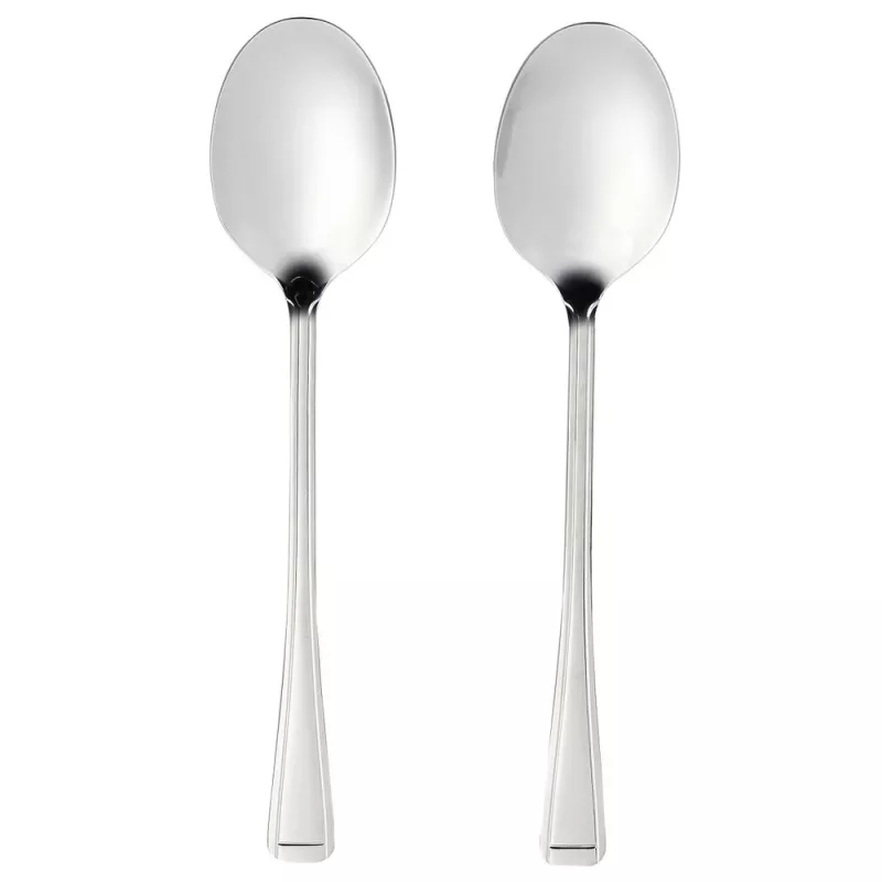 Serving Spoon Set Salter BW09649 — 2-piece stainless steel, dishwasher safe
