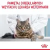 Wet cat food Royal Canin Urinary Care adult poultry 85 g sachet (12-pack)