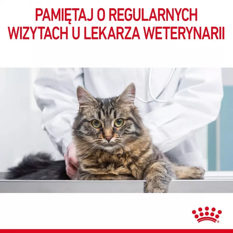 Wet cat food Royal Canin Urinary Care adult poultry 85 g sachet (12-pack)