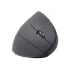 Gembird MUSW-ERGO-01 mouse Right-hand RF Wireless Optical 1600 DPI