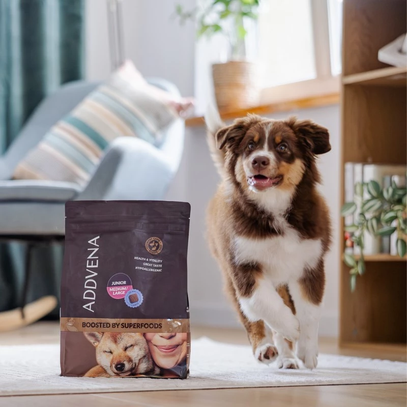 ADDVENA Boosted by superfoods Junior Medium/Large Beef - dry dog food - 2,5kg