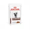 Wet cat food Royal Canin Gastrointestinal 85 g sachet — meat, 12 x 85 g, adult cats, for gastrointestinal problems