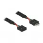 Cable DeLOCK 0.1m 2xUSB2.0 10p