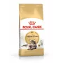 Dry cat food Royal Canin Maine Coon Adult 10 kg — poultry (chicken), 31% protein, 20% fat