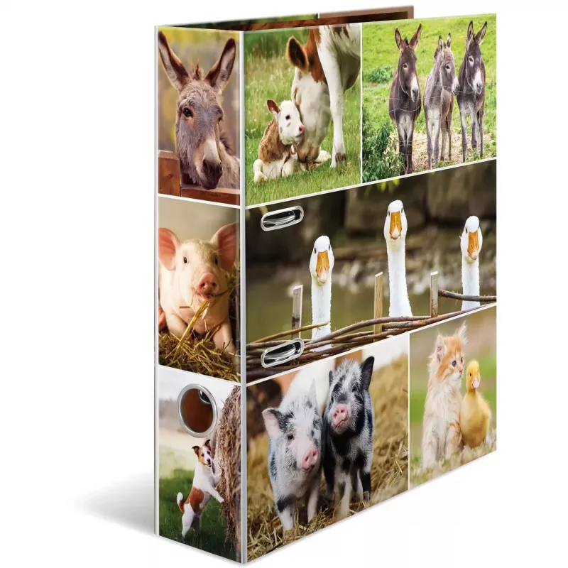 Ring Binder HERMA 19253 A4 Multicolour Cardboard 285x315 mm