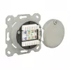 Socket outlet RJ-45 DeLOCK 86195