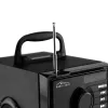 Wireless speaker MEDIA-TECH MT3179, 20W (RMS 15W), Bluetooth 5.1, FM, MicroSD, USB, AUX, Li-Ion, 6 h, wooden housing