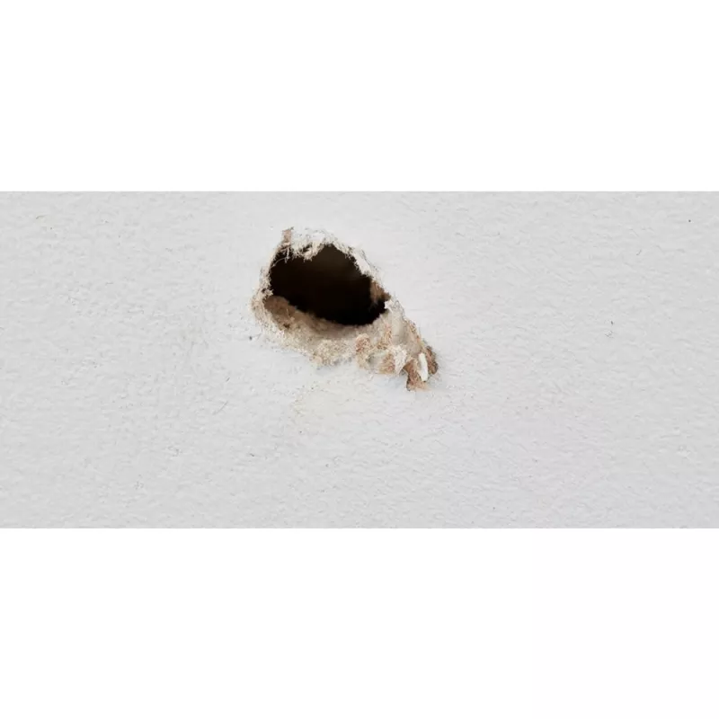 Drill Hole Rescue FISCHER GOW 10 545947 – repair plug for damaged drilled holes