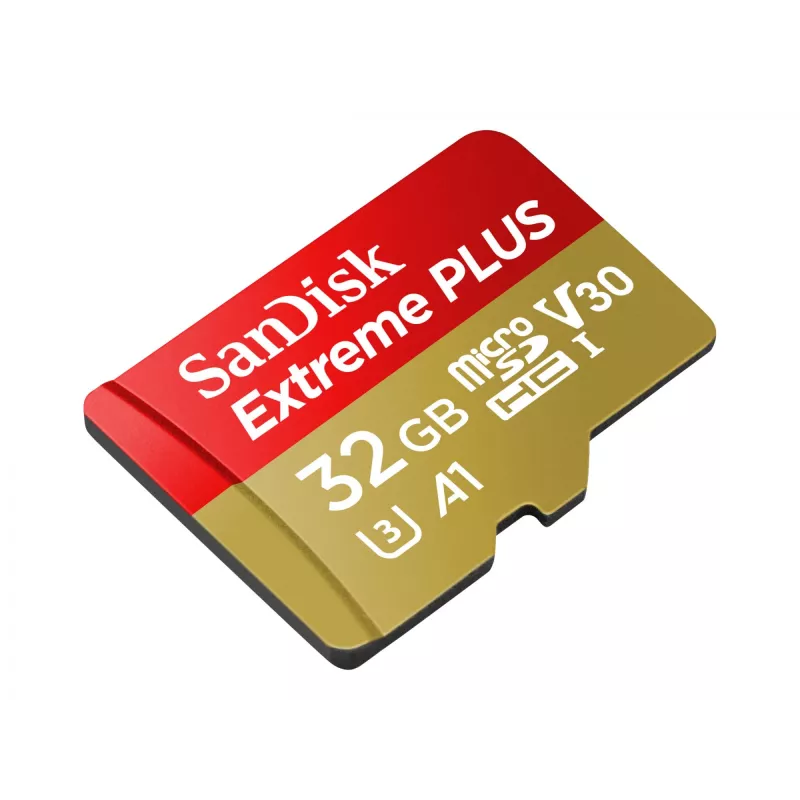 Flash Memory SanDisk Extreme Plus 32GB UHS-I SDSQXBG-032G-GN6MA