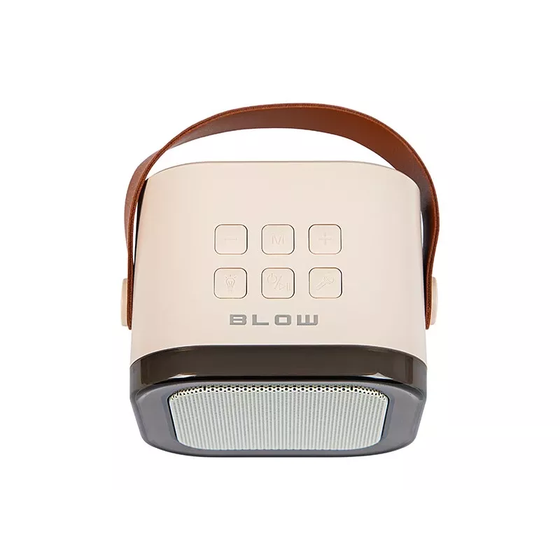Karaoke Speaker, KARAOKE RGB Bluetooth Speaker, 30W