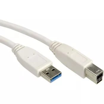 VALUE USB cable - USB Type A (M) to USB Type B (M)