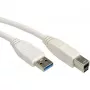 VALUE USB cable - USB Type A (M) to USB Type B (M)