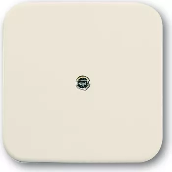Busch Jaeger 1724-0-0244 Wall Plate/Switch Cover White (1724-0-0244)