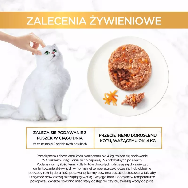 GOURMET GOLD - Savoury Cake with Chicken and Carrot 85g