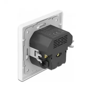 DeLOCK 11489 Socket Outlet CEE 7/3 + USB White 250V 16A
