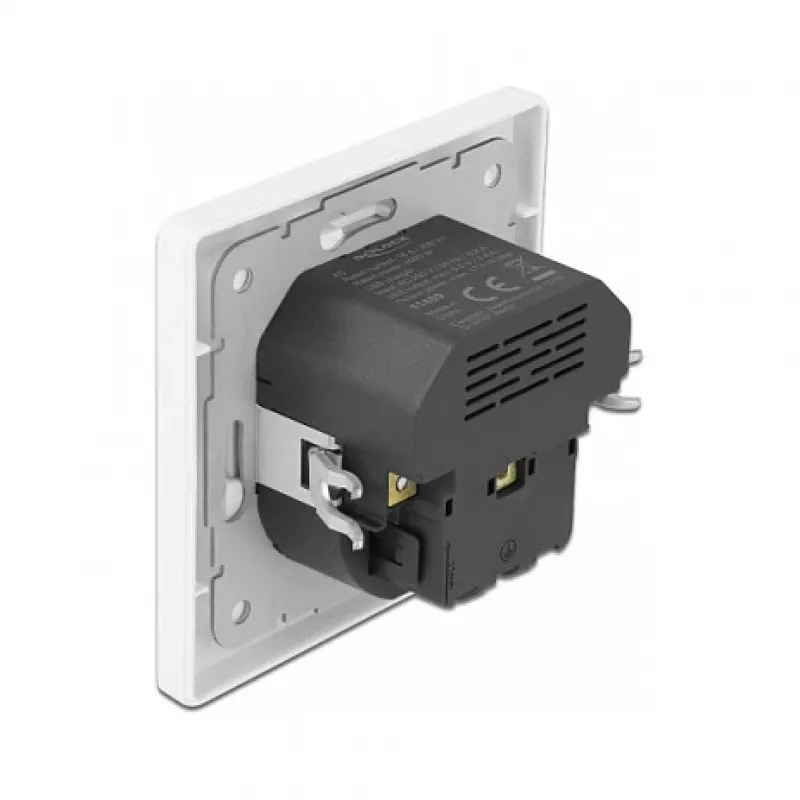 DeLOCK 11489 Socket Outlet CEE 7/3 + USB White 250V 16A