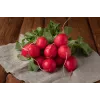 Saxa 3 Radish Seeds, 10g Vegetable Seed Pack