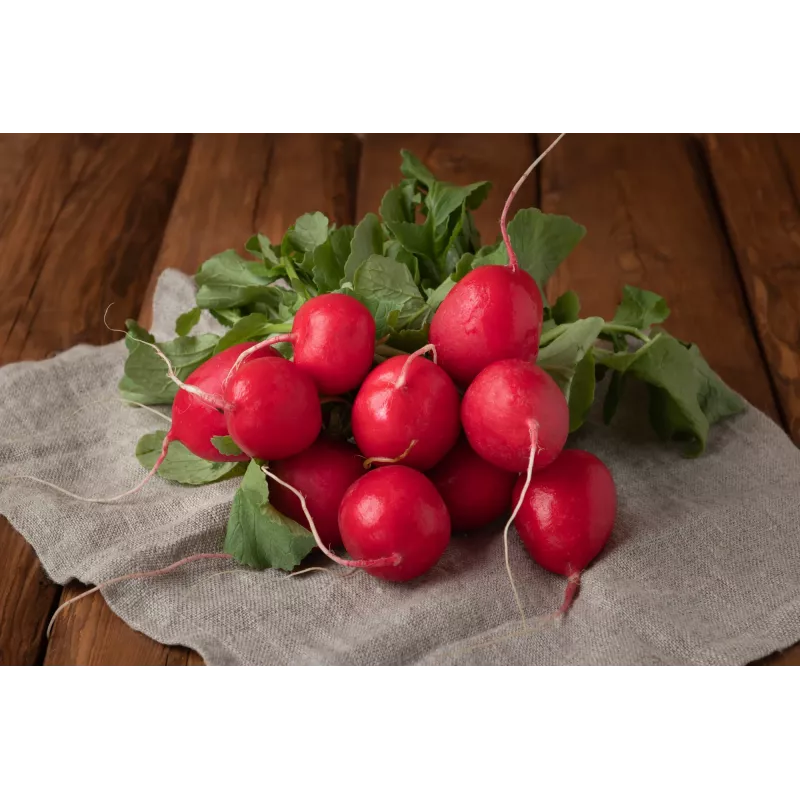 Saxa 3 Radish Seeds, 10g Vegetable Seed Pack