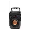 Squeak Bassblaster Bluetooth 5.1 Speaker, Fm Radio, Mp3 Player Sq1001