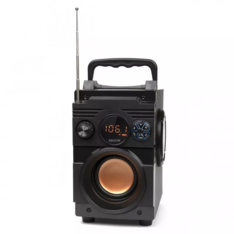 Squeak Bassblaster Bluetooth 5.1 Speaker, Fm Radio, Mp3 Player Sq1001