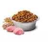 Farmina N&D Ancestral Grain Canine Adult Chicken dog food PND1500001, 15 kg