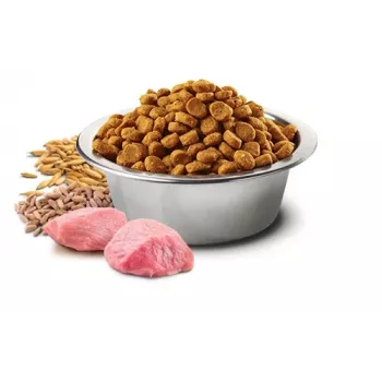 Dry Dog Food Farmina N&D Ancestral Grain Adult Chicken 15 kg — 27% protein, 16% fat
