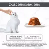Wet cat food Purina Nestlé Gourmet Revelations Chunks in Jelly with Chicken 2 x 57 g, adult, protein 9%, moisture 83%